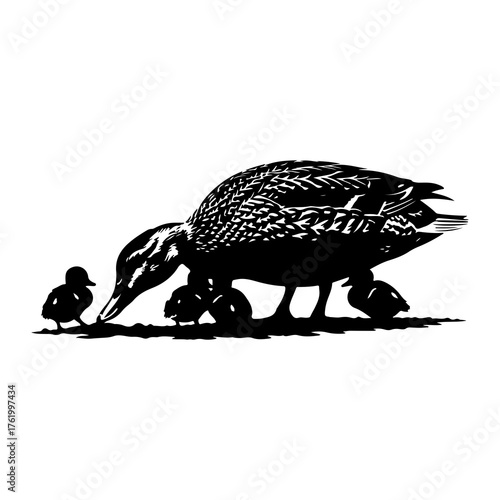 Mother duck with ducklings foraging water nature