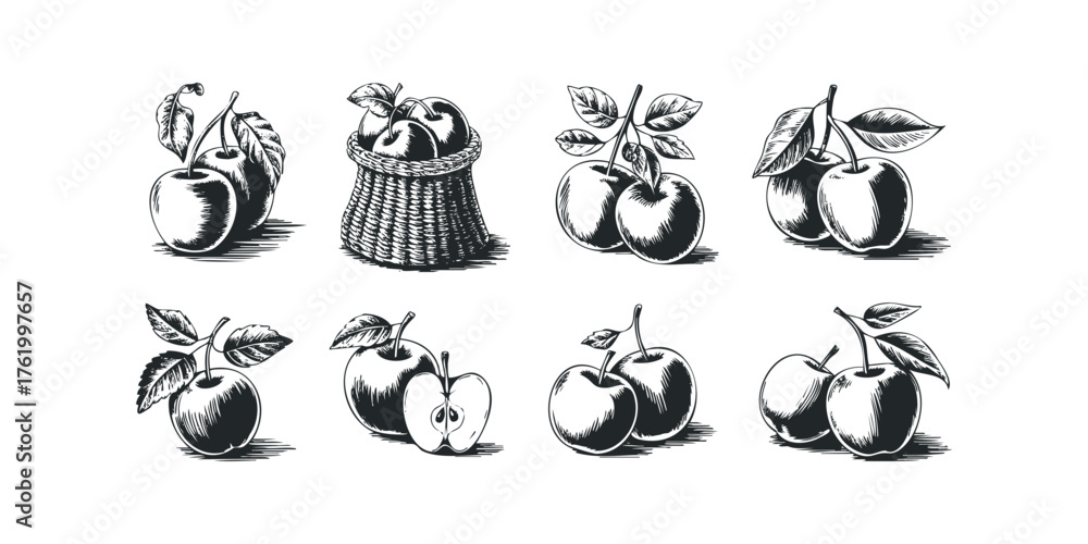 Fototapeta premium Various Apple Arrangements Hand Drawn Sketch