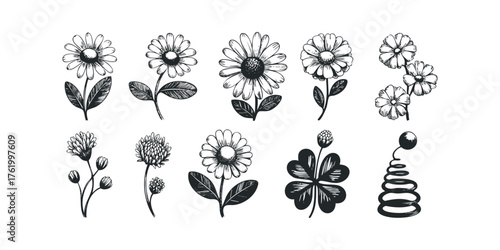 Collection of hand-drawn floral elements and clover