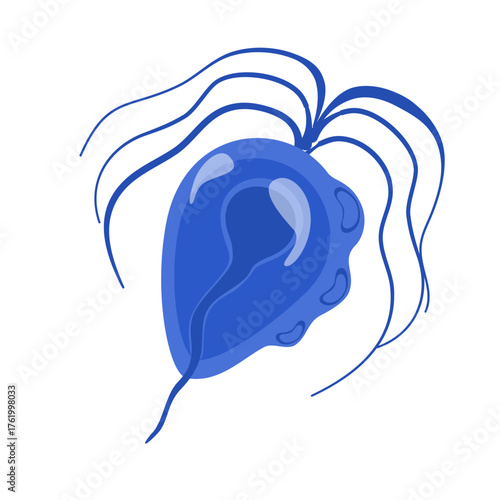 Trichomoniasis Vector Illustration. Trichomonas vaginalis structure. Urogenital infection.