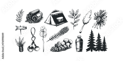 Outdoor adventure collection with tent and nature elements