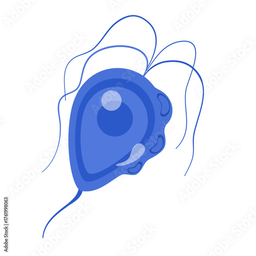 Trichomoniasis Vector Illustration. Trichomonas vaginalis structure. Urogenital infection.