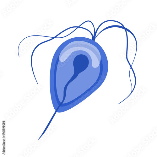 Trichomoniasis Vector Illustration. Trichomonas vaginalis structure. Urogenital infection.
