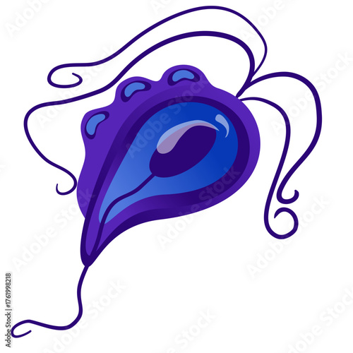 Trichomoniasis Vector Illustration. Trichomonas vaginalis structure. Urogenital infection.