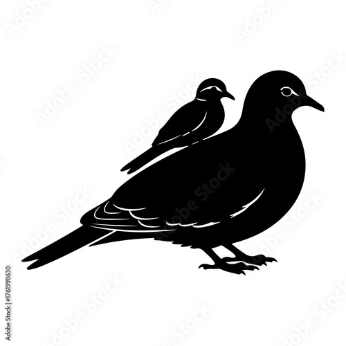 Two black birds perched together silhouette pigeon