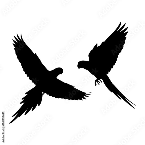 Two parrots flying silhouette birds