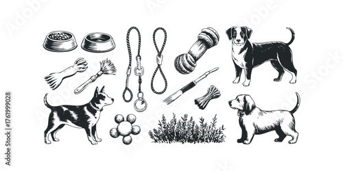 Doggy accessories including bowls, leashes, toys, and pets