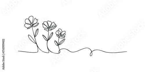Continuous line drawing of three delicate flowers on stems