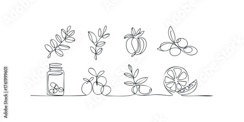 Abstract Line Art of Botanical Elements and Medicine Bottle
