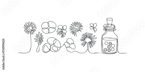 Continuous line drawing of abstract floral forms and liquid filled bottle