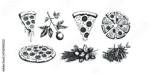 Hand Drawn Pizza Slices with Tomato and Herbs