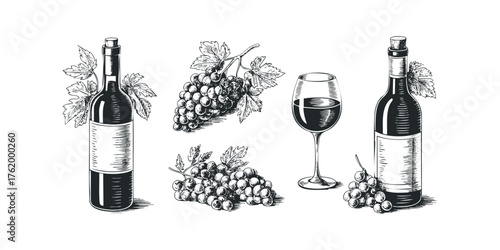 Wine bottles grapes and glass still life sketch