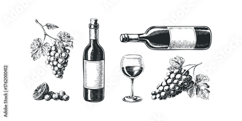 Grapes, Wine Bottle, and Glass in Vintage Engraving Style