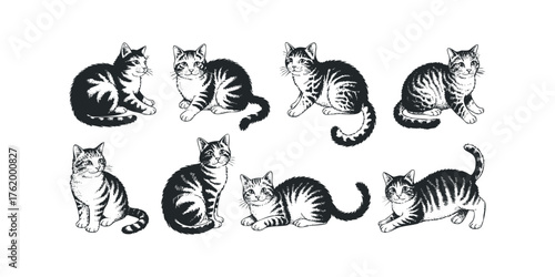 Collection of Tabby Cat Silhouettes in Various Poses