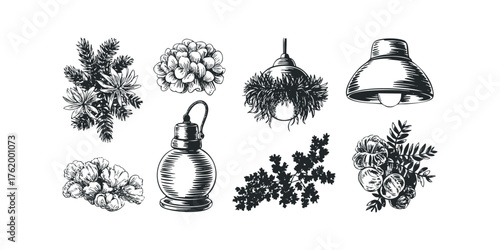 Botanical illustrations featuring flora and hanging lamps