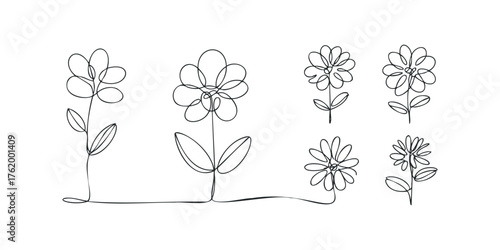 Continuous line drawing collection of six unique flower stems