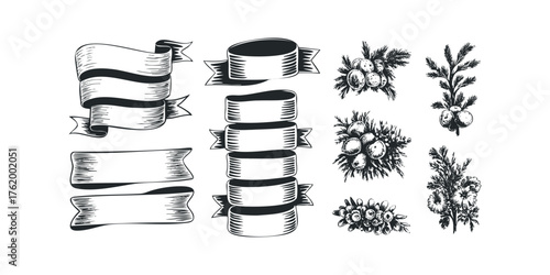 Engraved Ribbons and Botanical Sprigs Collection