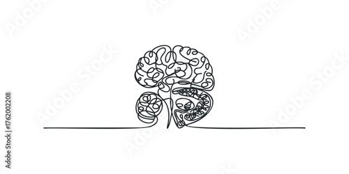 Continuous line drawing of abstract brain and organic form