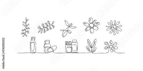 Continuous Line Drawing Botanicals and Vials Collection