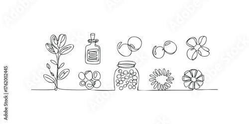 Single Line Drawing Collection With Botanical And Abstract Forms