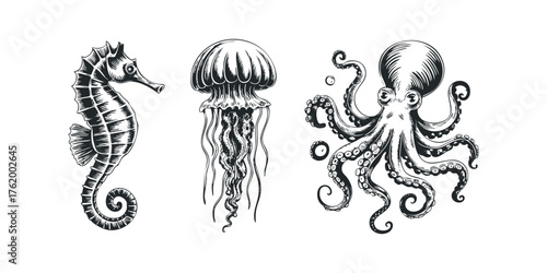 Seahorse jellyfish and octopus line drawing