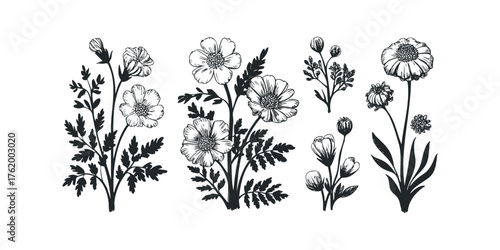 Black and white floral bouquet elements for graphic use
