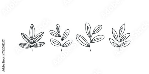 Four Stylized Plant Branch Line Drawings