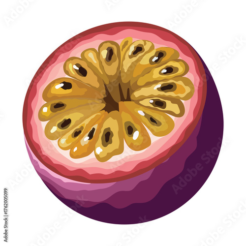 Passion fruit. Vector illustration. Highlights, shadows, vibrant design.