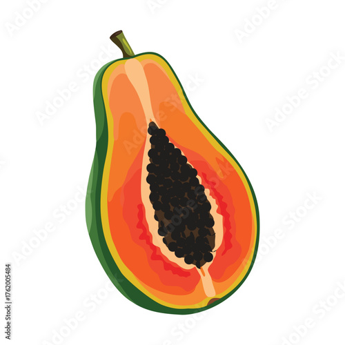 Papaya, vector illustration. Highlights, shadows, vibrant design.