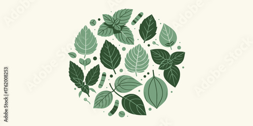 Botanical Leaf Arrangement A Circular Design of Fresh Green Leaves, Ideal for Eco-Friendly Themes