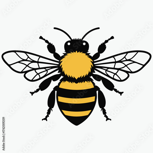 bee color illustration vector