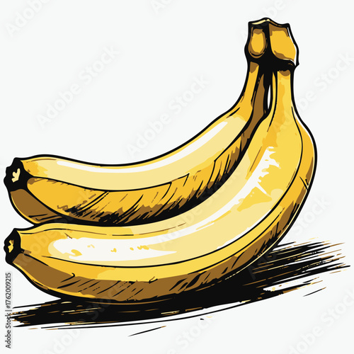 bananas color illustration vector