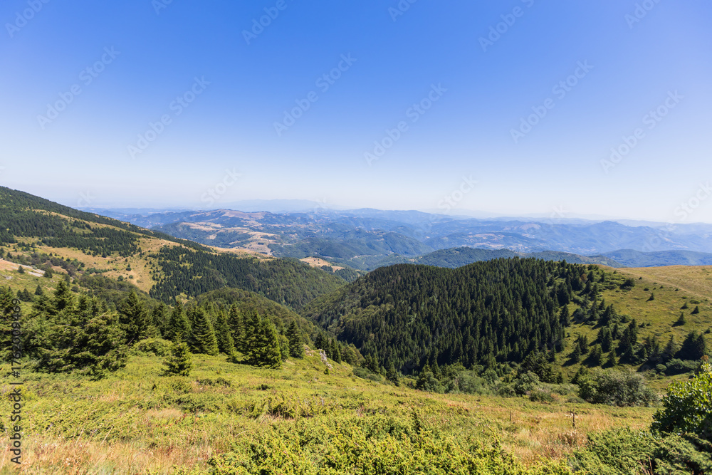 Obraz premium Panoramic mountain valley view with rolling hills and evergreen forest