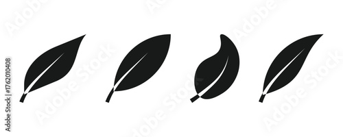 leaf plant sprout icon sign vector