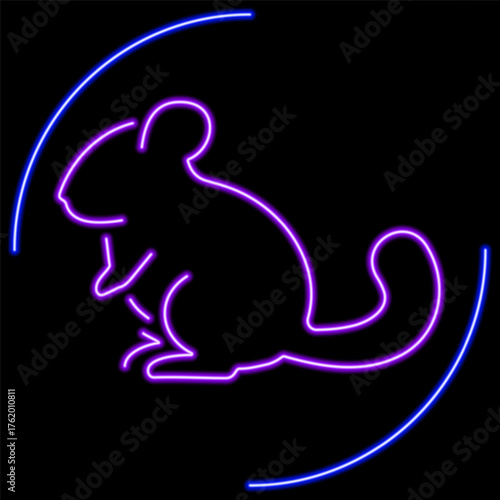 chinchila neon sign, modern glowing banner design, colorful modern design trends on black background. Vector illustration.