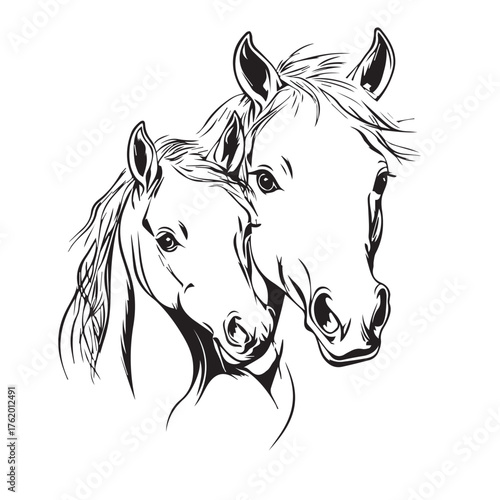 horse head vector with foal