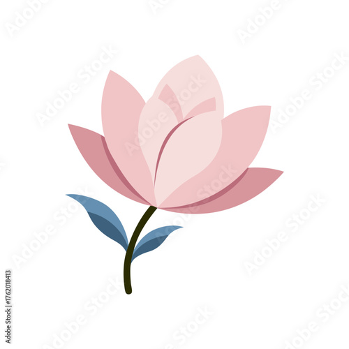 Magnolia Flower Vector Drawing With Soft Petals