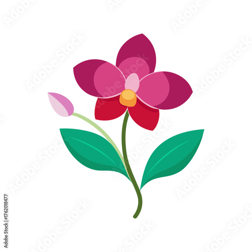 Beautiful Orchid Flowers Vector Art Minimal Design