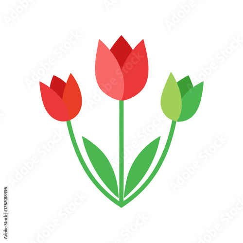 Flat Color Tulip Flowers Minimal Vector Design
