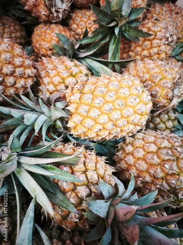 Cluster of Ripe Pineapples with Green Leaves