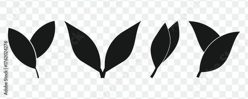 Set of black leaf silhouettes in different botanical shapes, ideal for nature designs, eco themes, and seasonal illustrations.