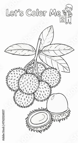 Drawing a single page about rambutan