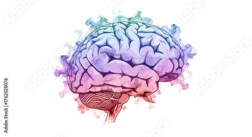 Watercolor brain illustration for mental health awareness neurological science and medical research study aid on transparent background