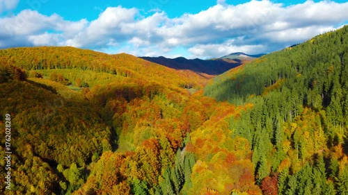 Aerial view of colorful autumn forests in the mountains