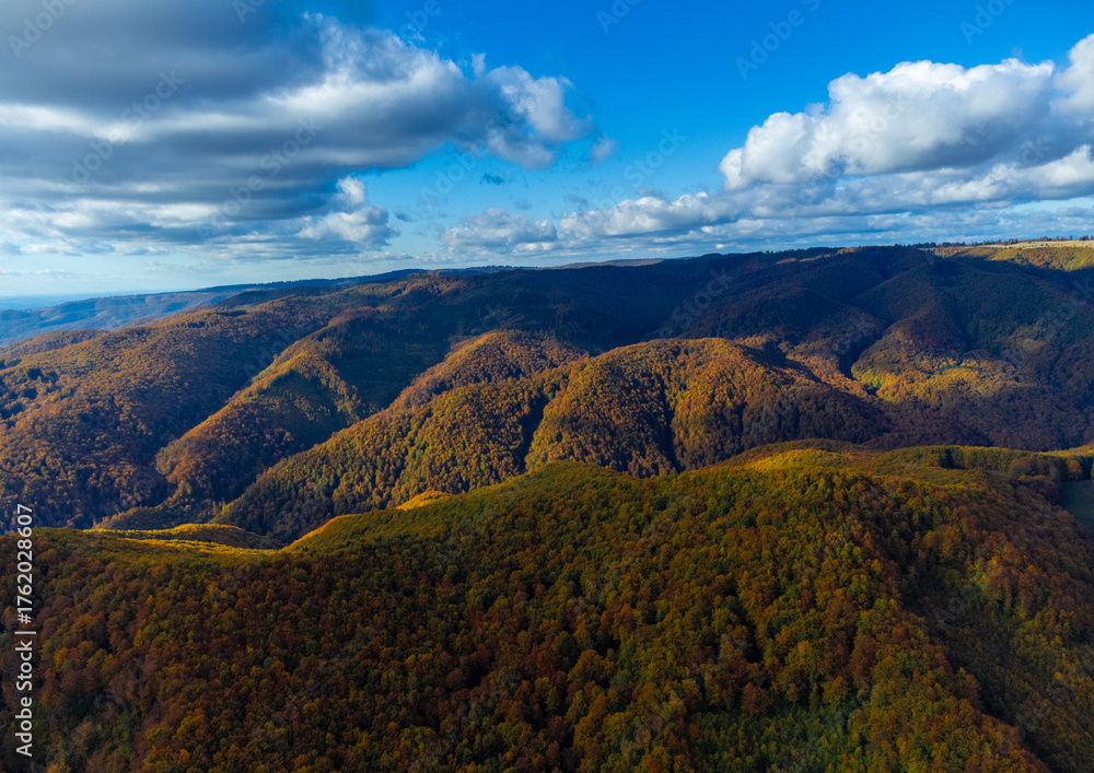 Fototapeta premium Aerial view with yellowed forests on mountains and valleys in autumn. Fall forested mountains seen from above