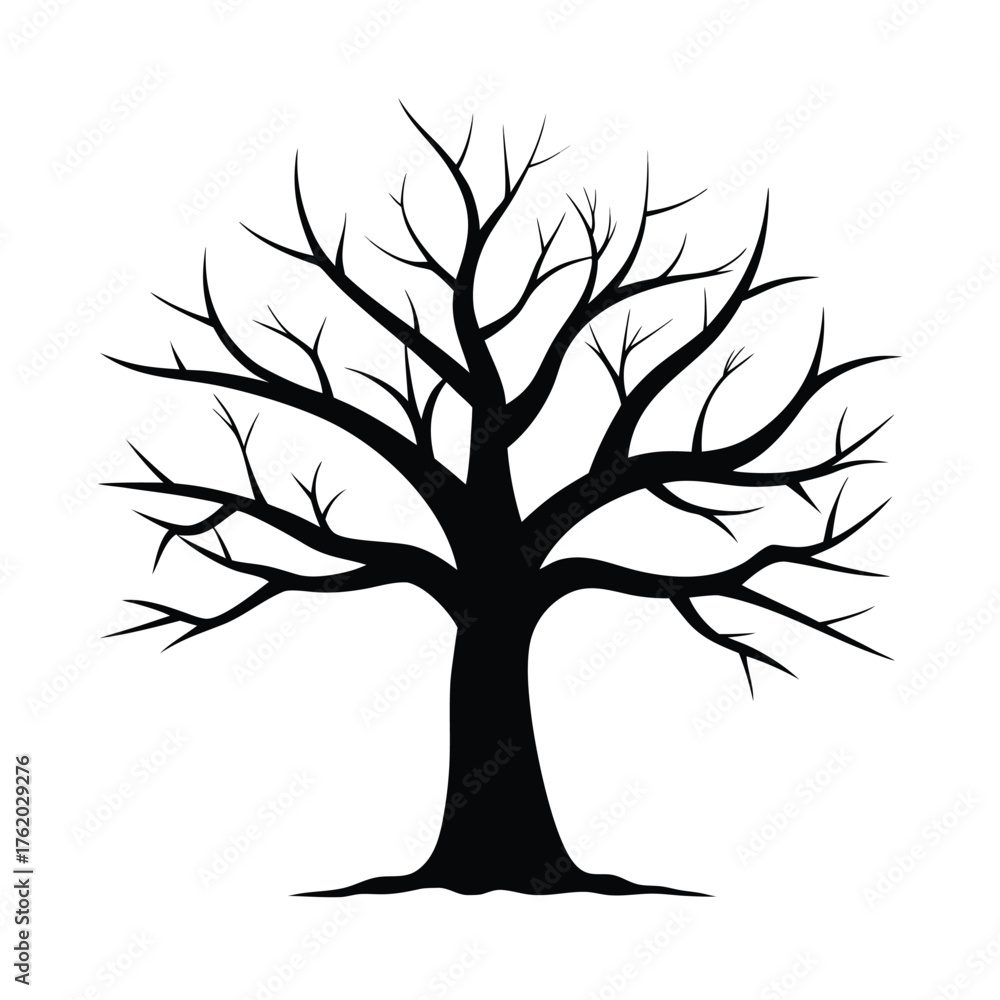 Fototapeta premium tree with roots