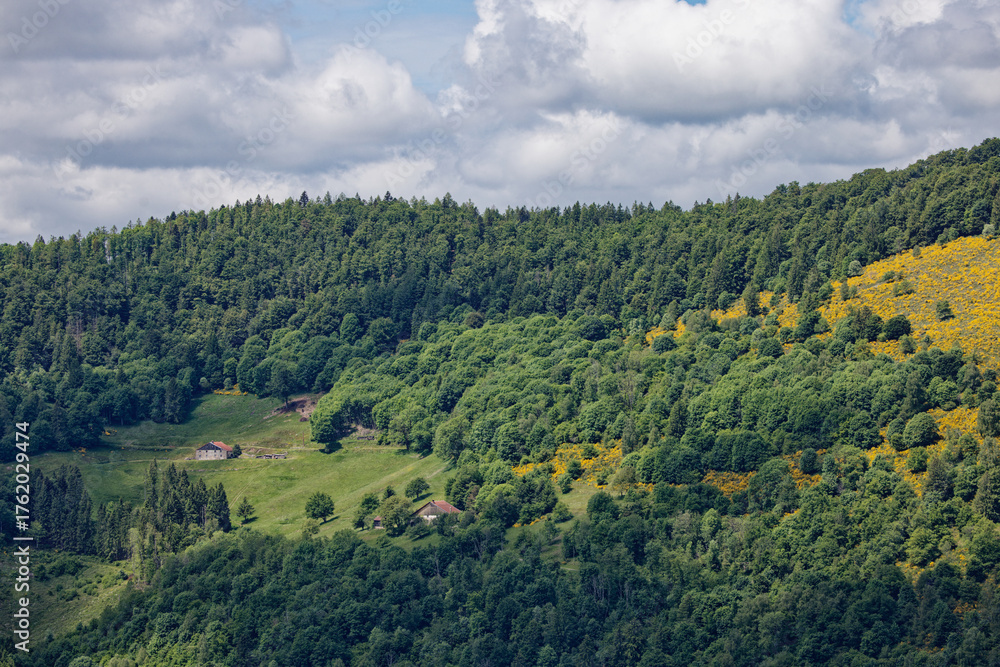 Fototapeta premium Fermes des Vosges