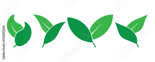 Green leaf icons set. Leaves icon on isolated background. Collection green leaf. Elements design for natural, eco, vegan, bio labels.