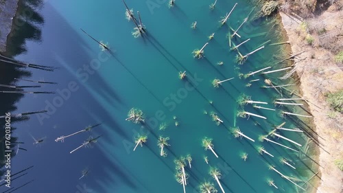 An aerial view of tree trunks in Lake Kaindy, a popular tourist destination in the Almaty region of southeastern Kazakhstan, on an autumn morning.