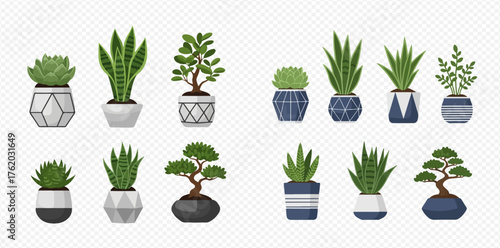 A collection of potted plants, including succulents and bonsai trees, in various decorative pots.